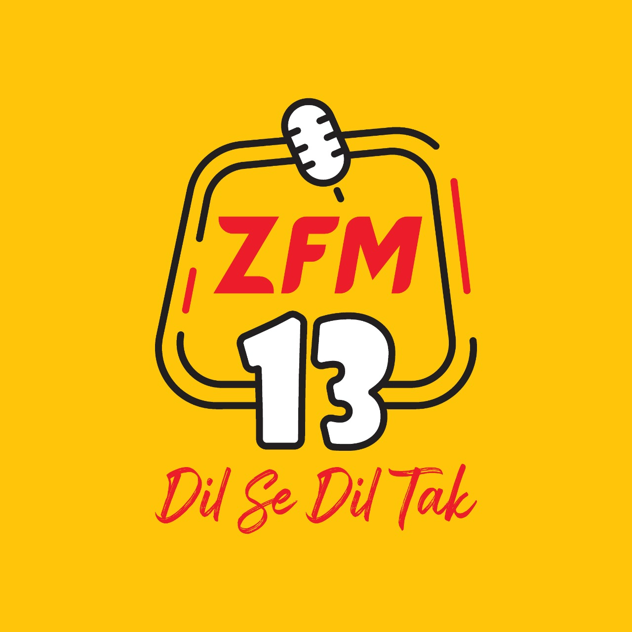 ZFM13