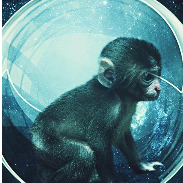 Astro Monkey Studios