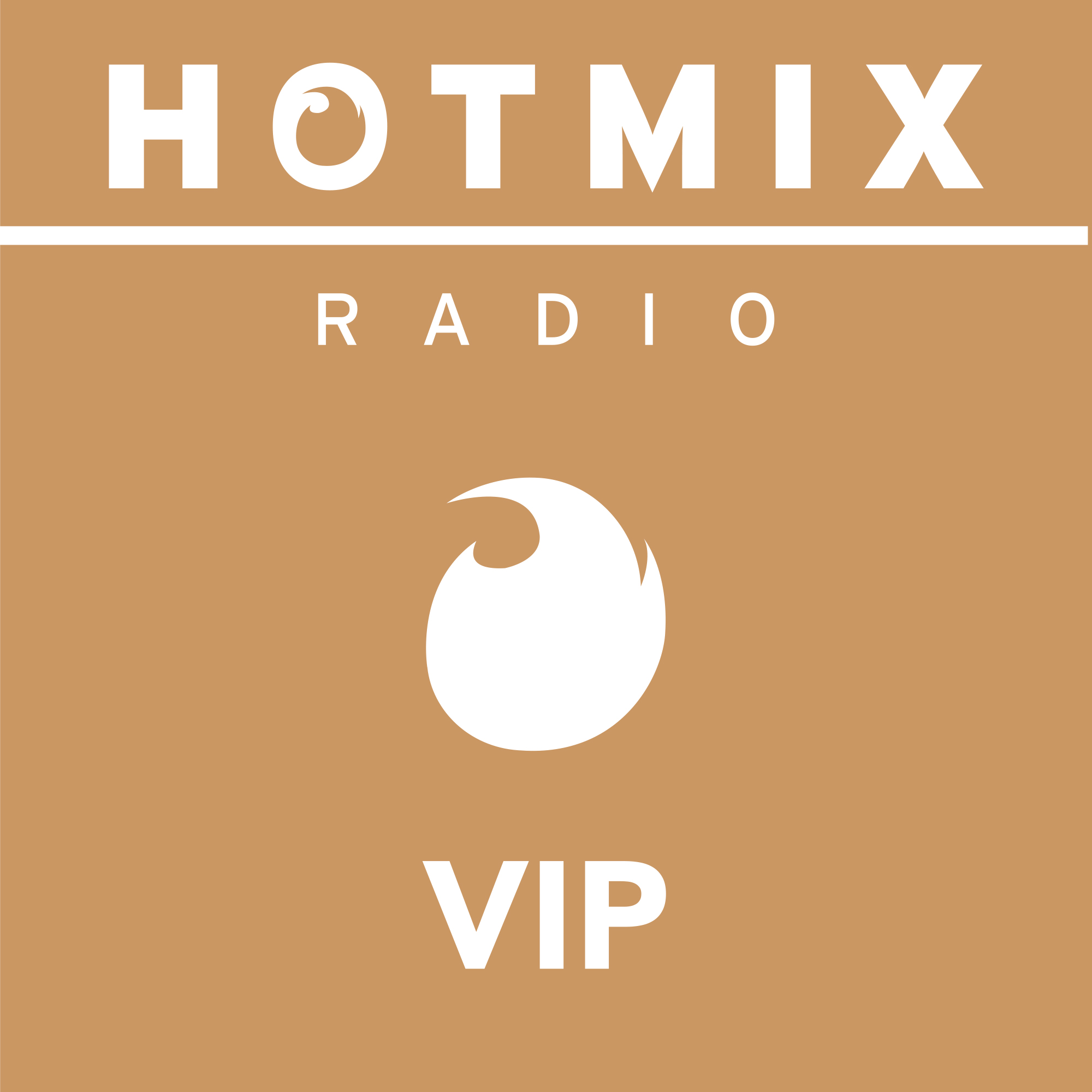 Hotmixradio VIP