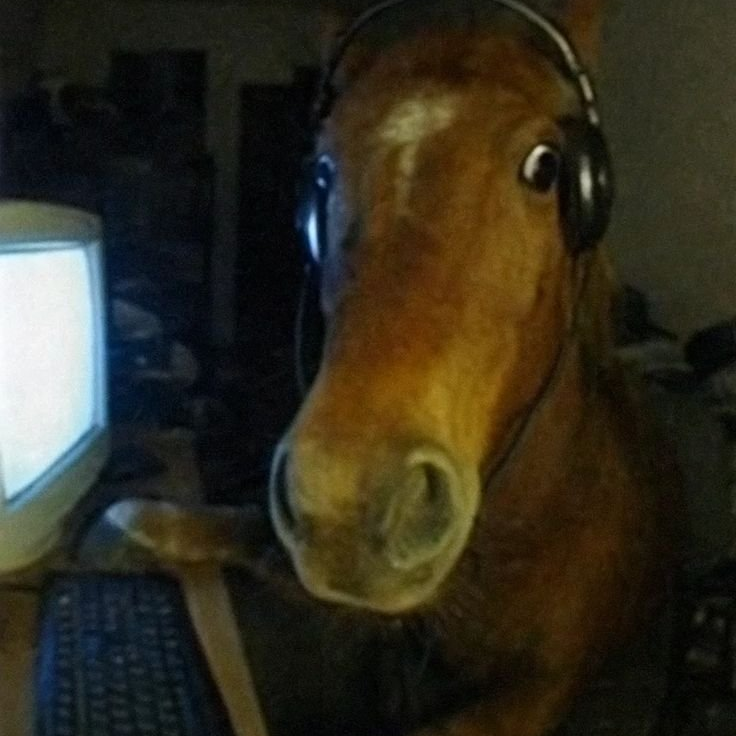 Kon Radio