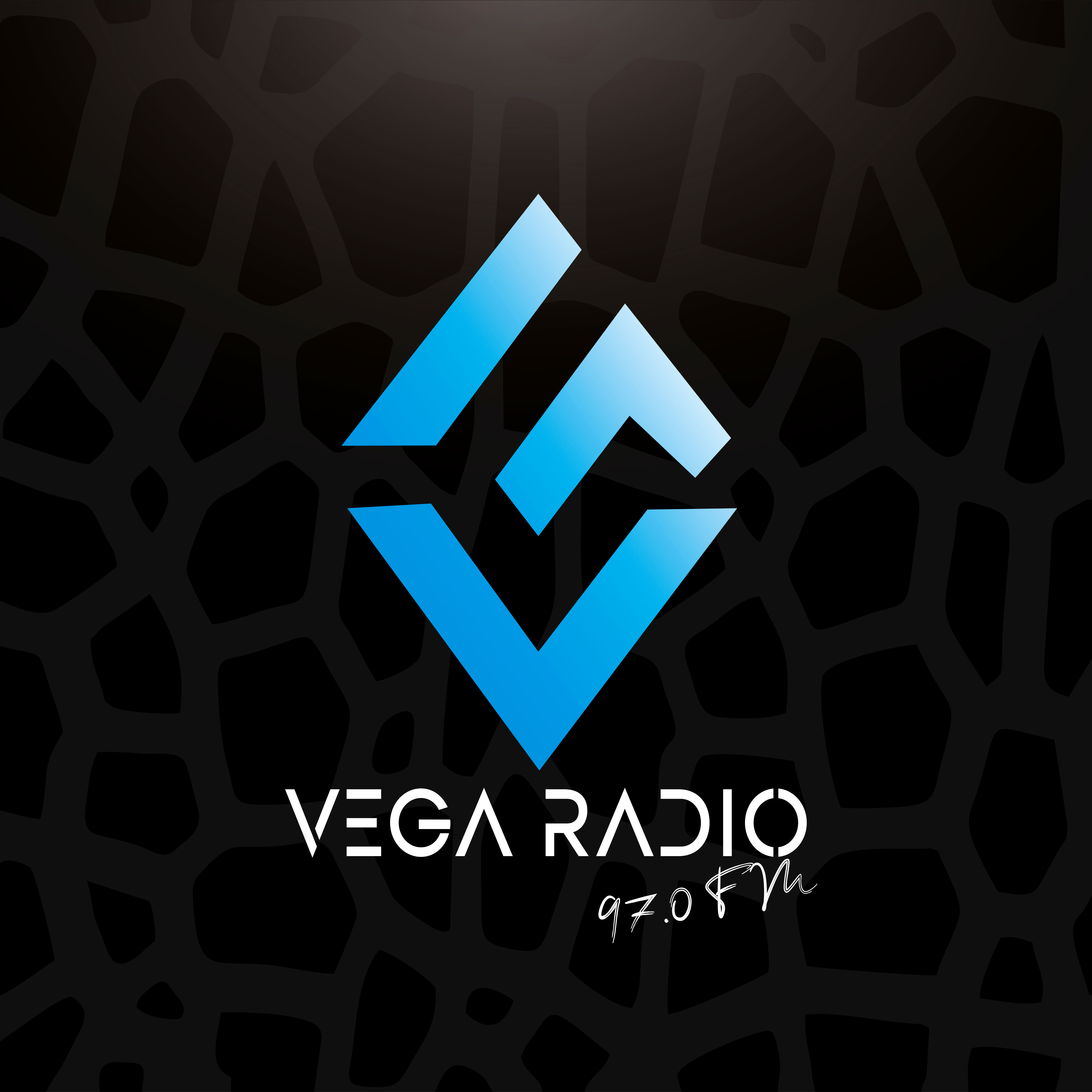 VEGA RADIP FM 97.0