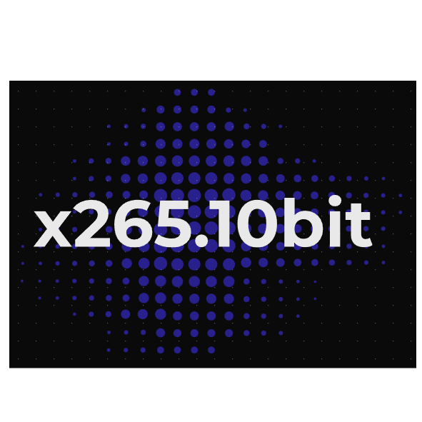 x265.10bit