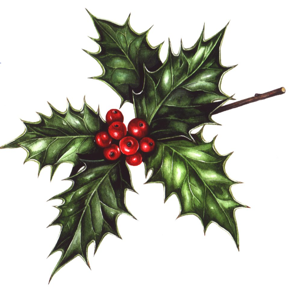 South Coast Radio Christmas UK