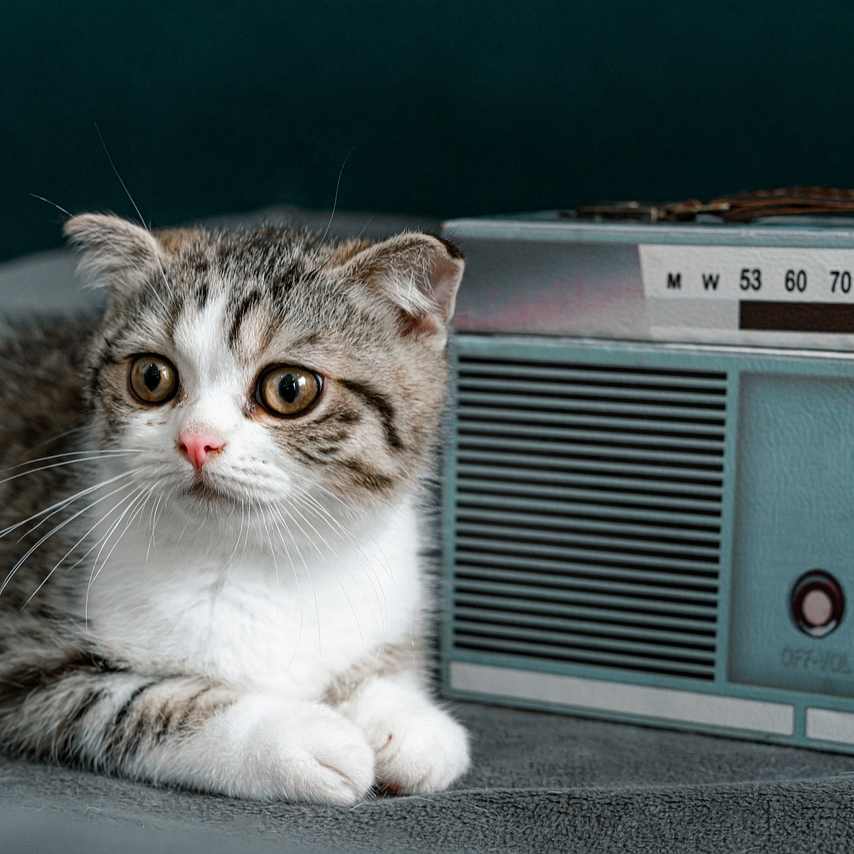 The Radio Stationsinfo
