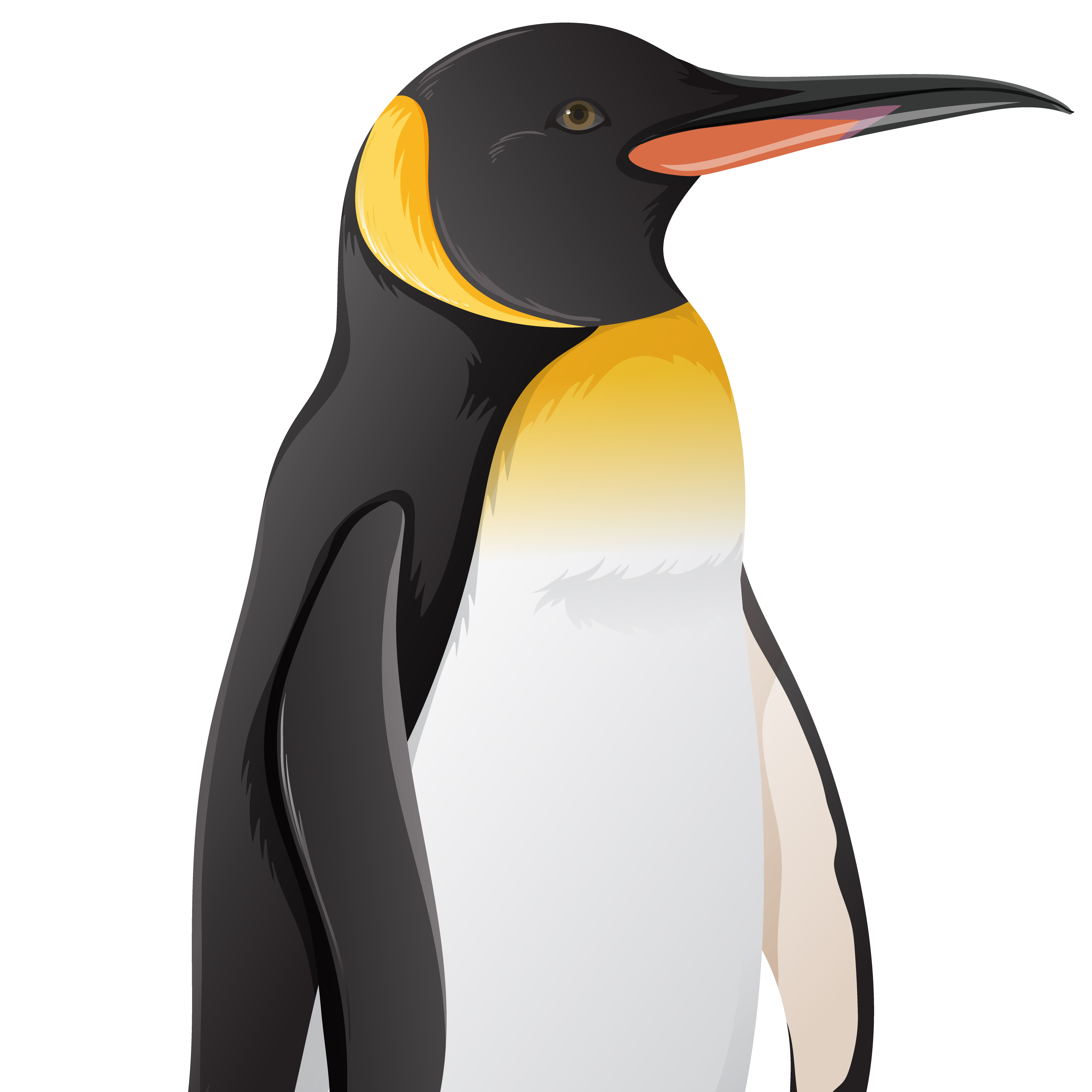PenguinCast