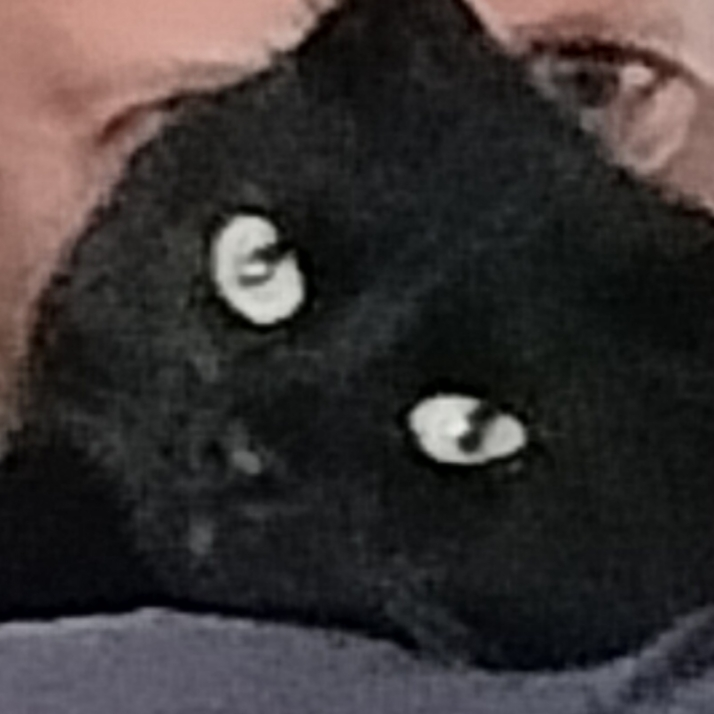 OSKAROBS