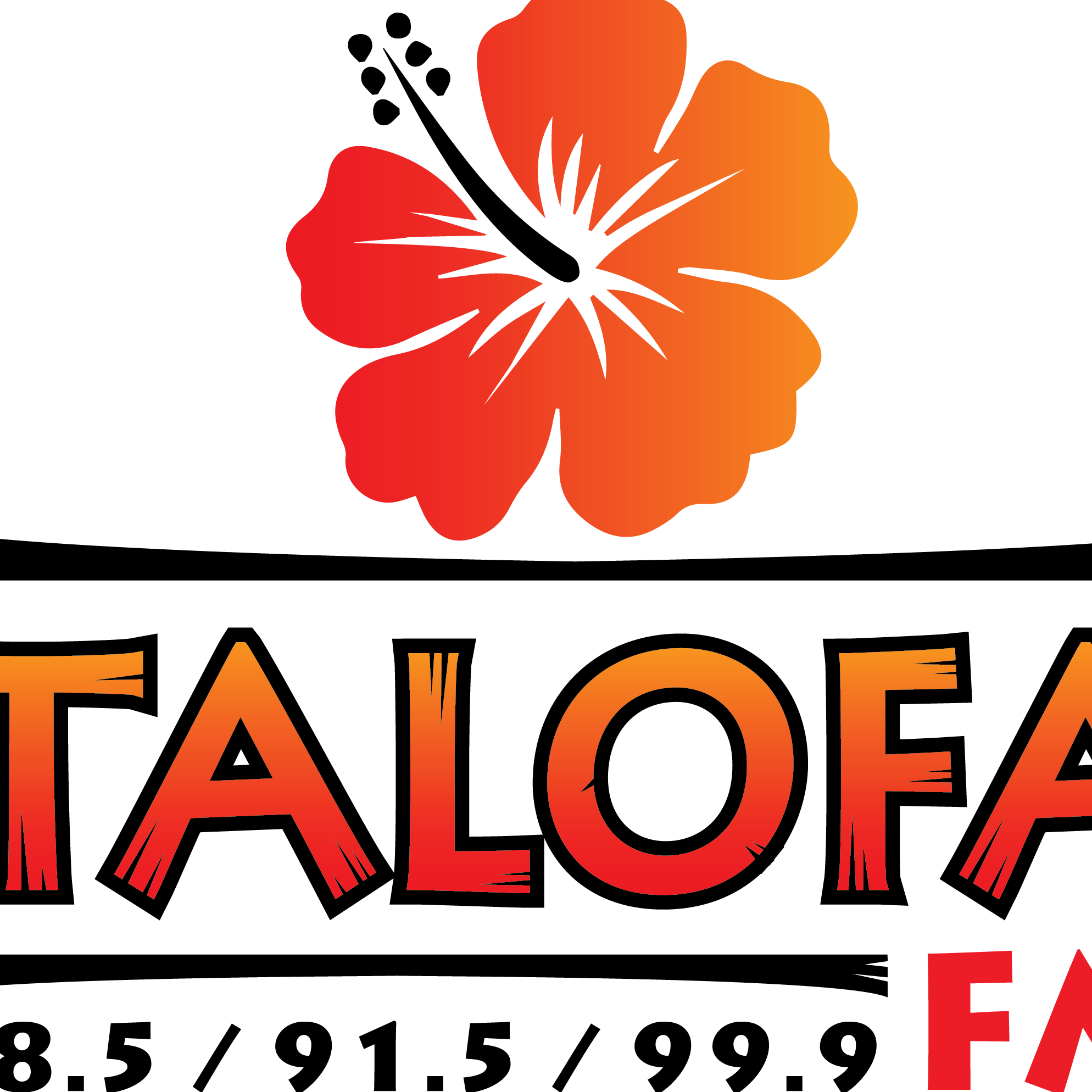 superstar clr dames grijs