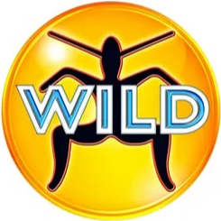 WildFM- Australia