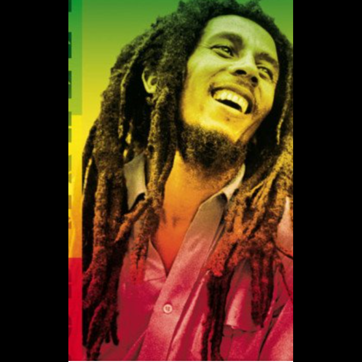 reggae for the die hard