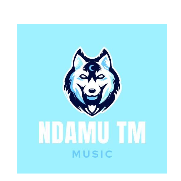 NDAMU TM MUSIC