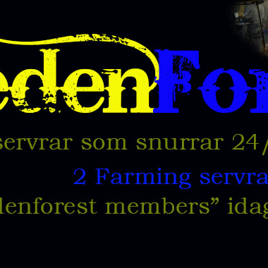 Sweden forest