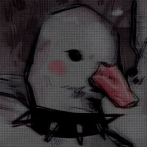 DJDucky
