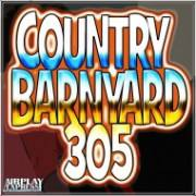 Country Barnyard 305 1
