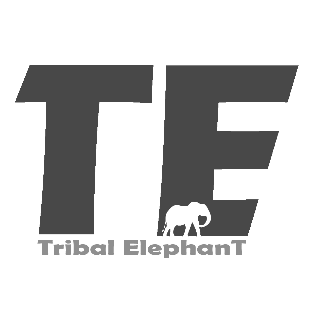 Tribal Elephant PsyTrance