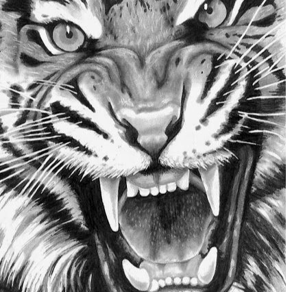 Roaring Tiger Radio