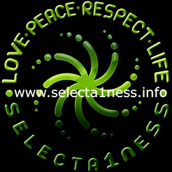 Selecta1ness.info