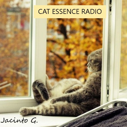 The Cat Radio Essence