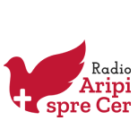 Christian Radio Wings2Heaven (W2H) - Radio Crestin Aripi Spre Cer International