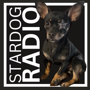 Stardog Radio - The Alternative Frequency
