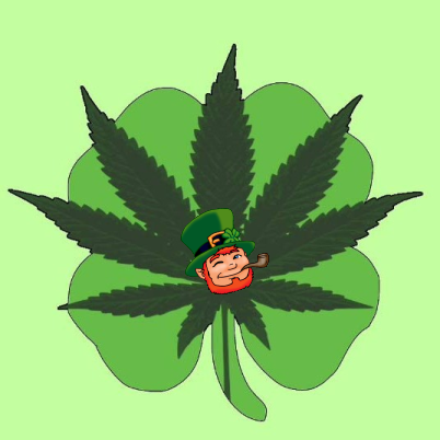 The 7 Leaf Clover a division of Nevada gaming corporation