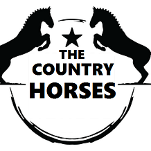 the country horses radio