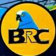 BRC Bauchi