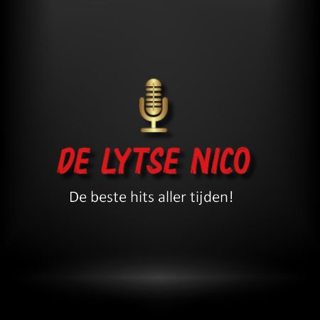 Delytsenico.nl