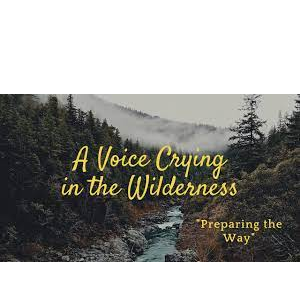 Voice in the Wilderness
