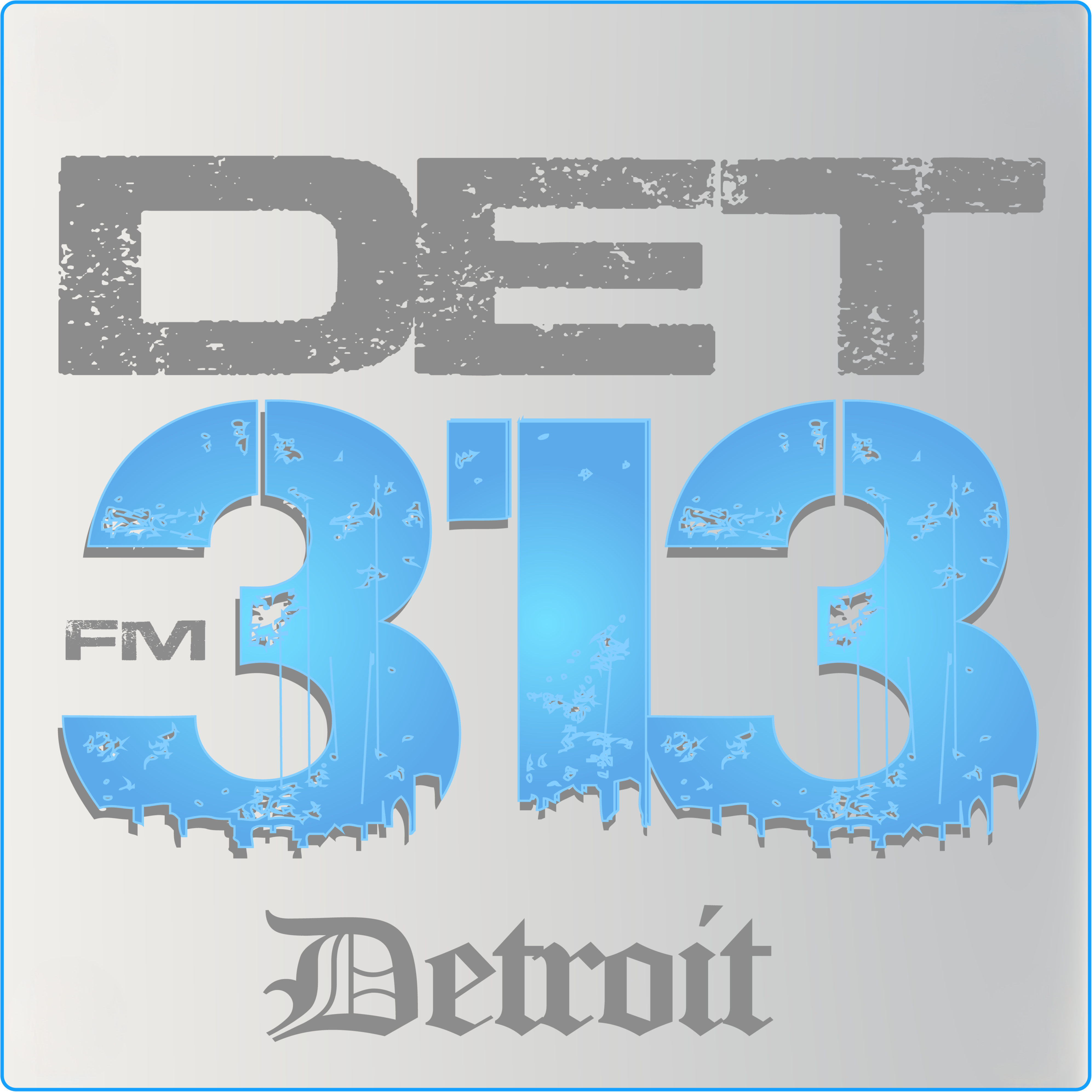 Det 313 FM