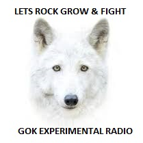GOK Experimental Radio Station