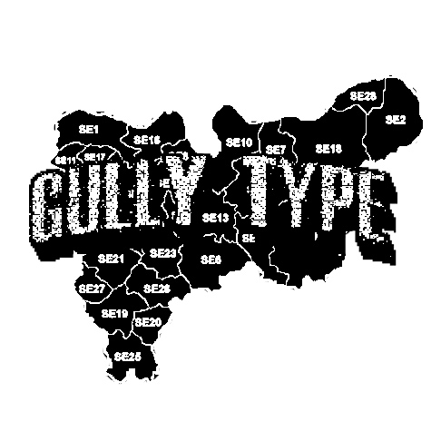 Gully Type