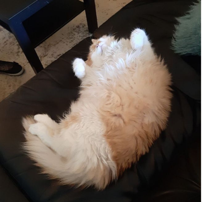 Fav Music - ECLECTIC Shit!