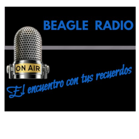 Beagle Stereo