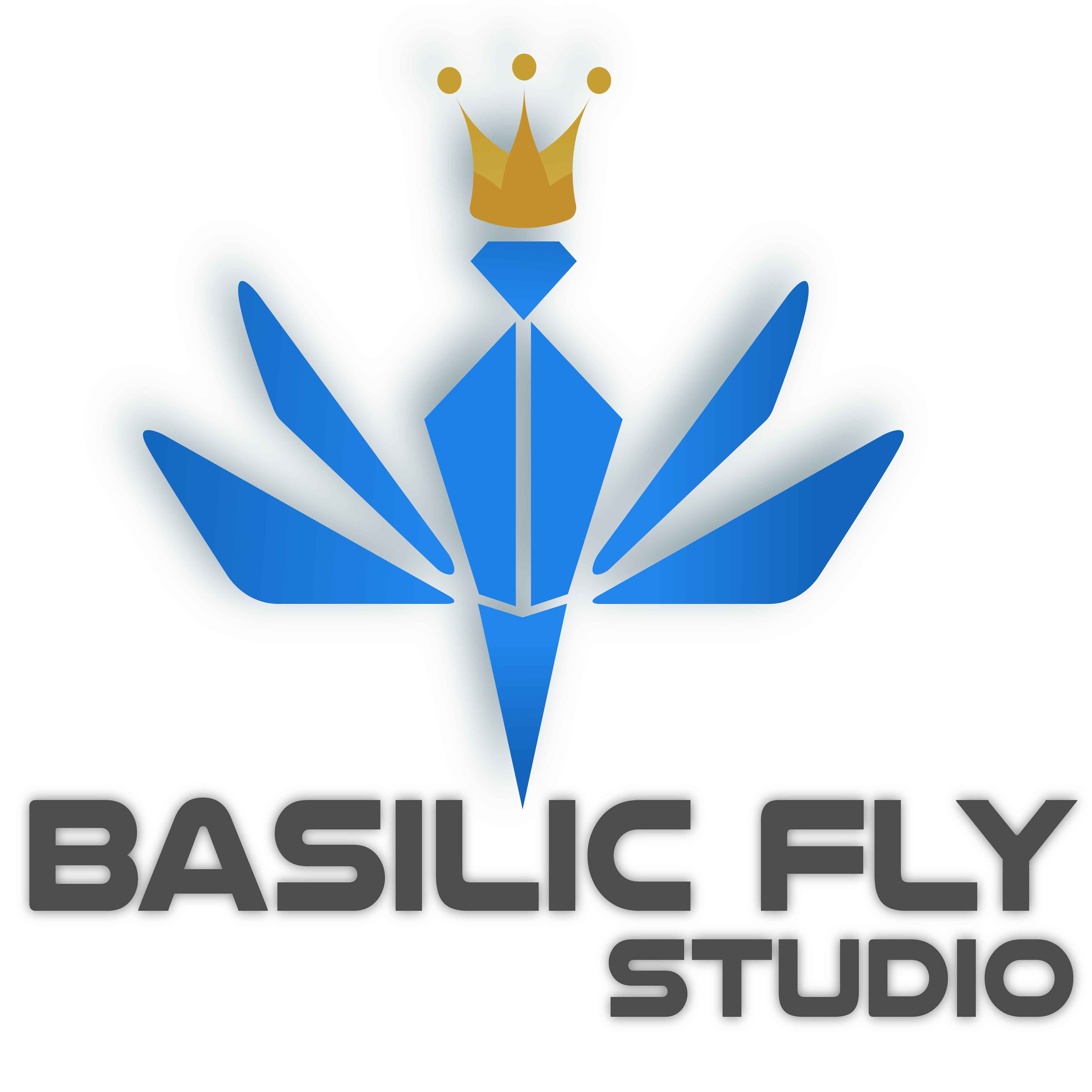 Basilic Fly Studio