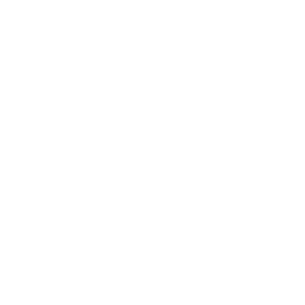 AEFE Music Festival