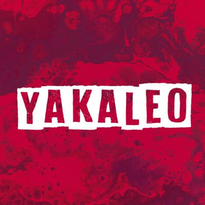 Yakaleo | #1 Reggaeton Exitos | 256k | www.yakaleo.com