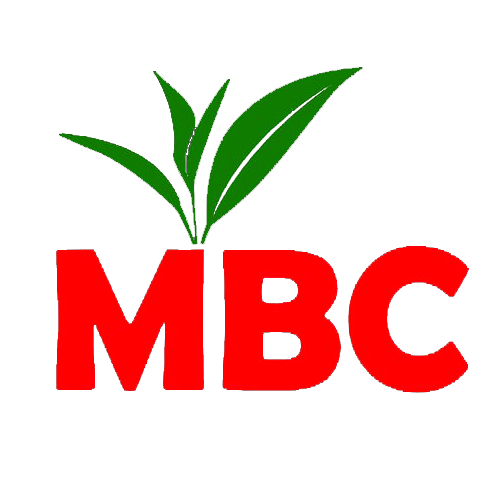 MBC Media Ntwork