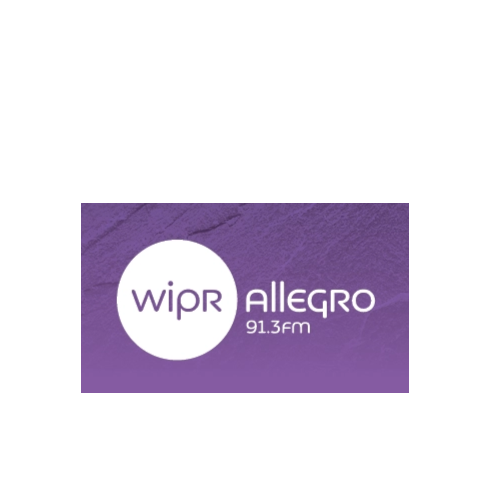 Allegro 91.3 FM
