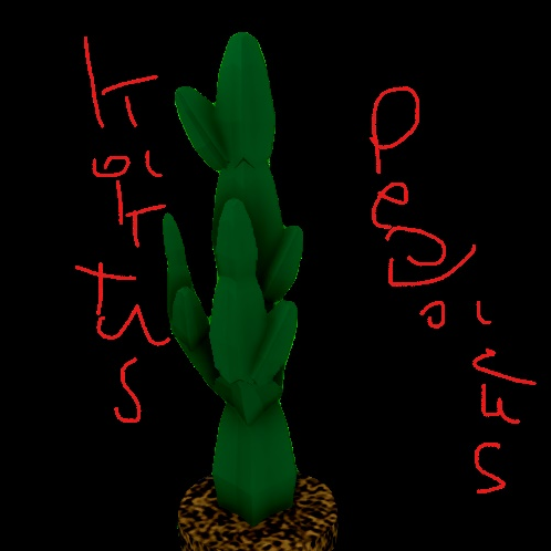Kaktus Pegazus