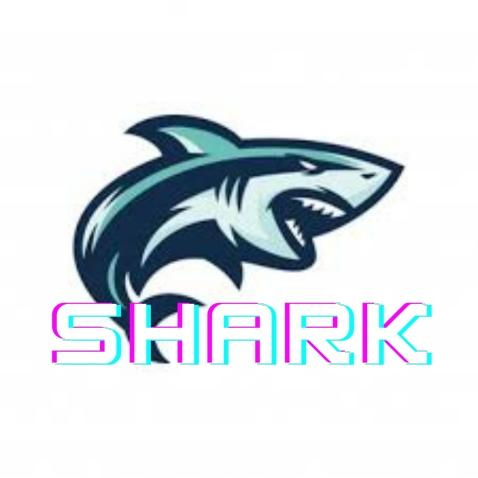 Shark_Music
