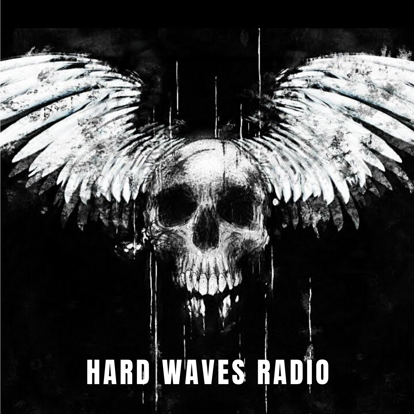 Hard Waves Radio