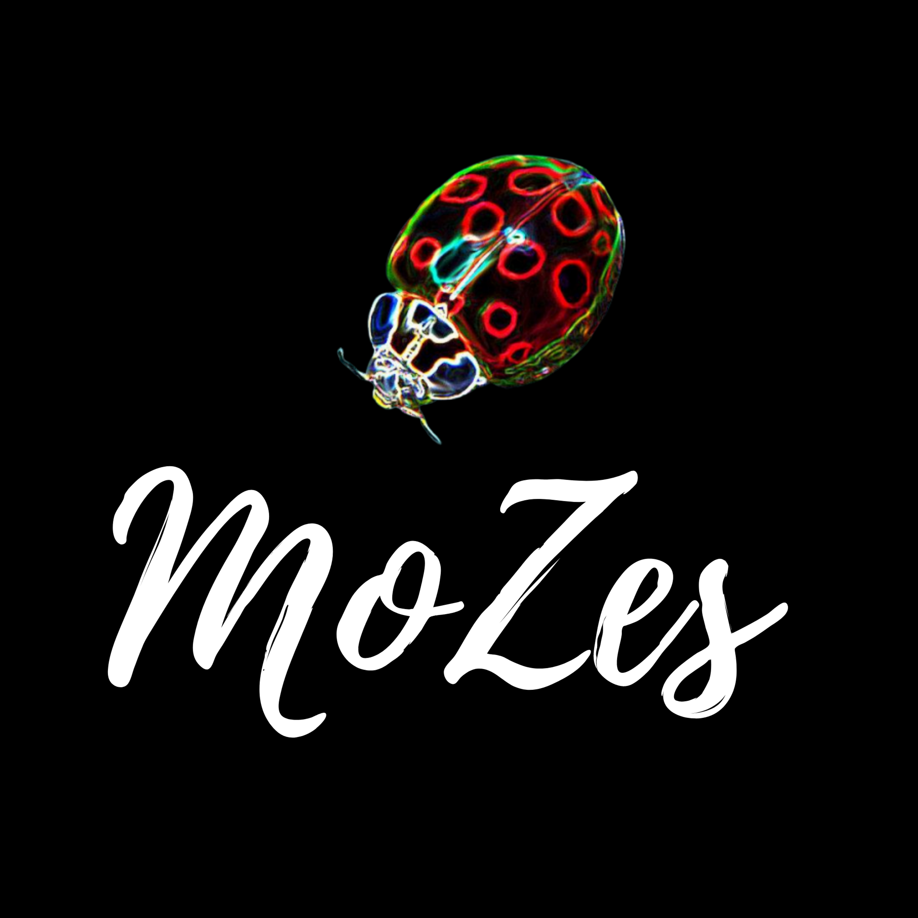 The MoZes Station