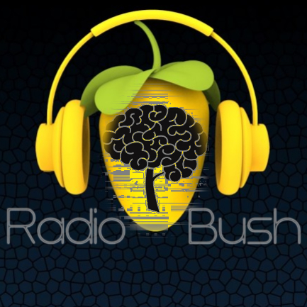 RadioBush