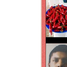 Flor Azul e Comunicações