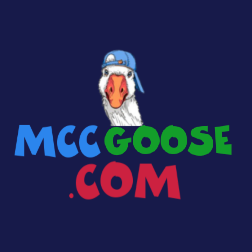 SILLY GOOSE FM