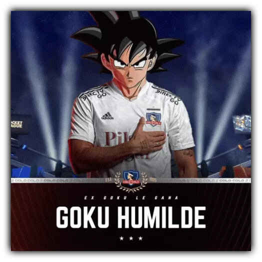 Goku Humilde