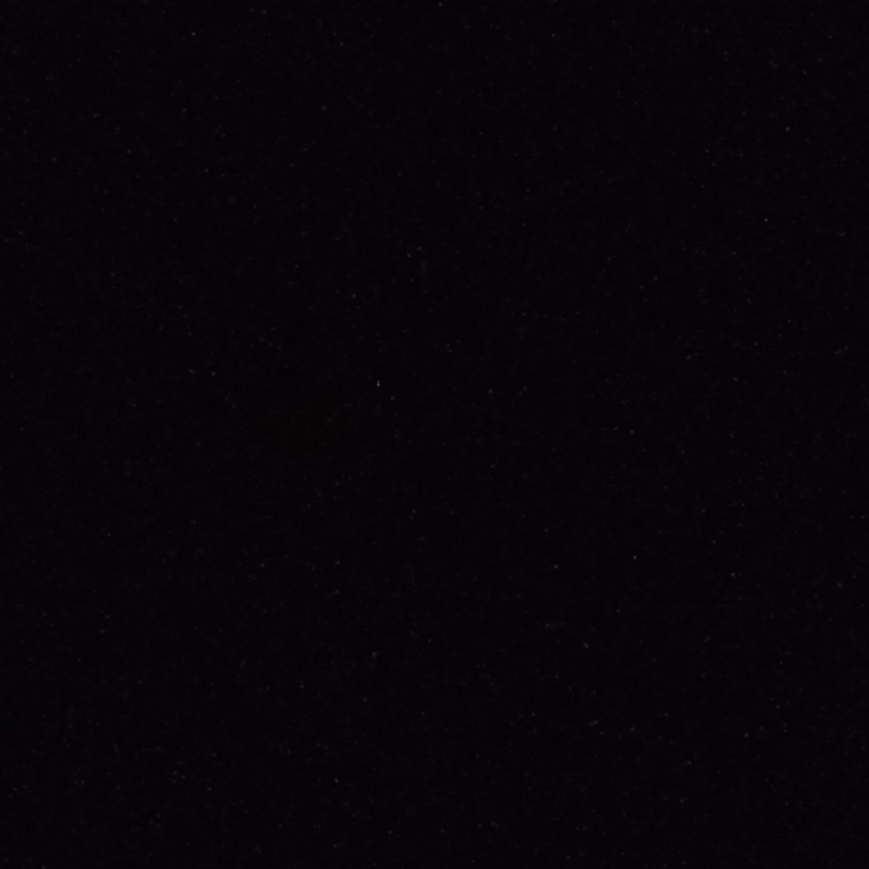 Rádio web campos borges