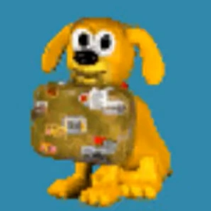 DCSK8PRK Digital Radio