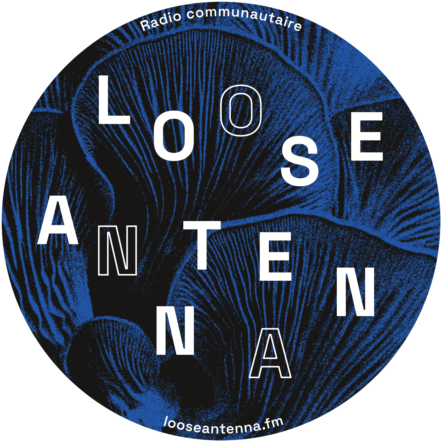 Loose Antenna community radio