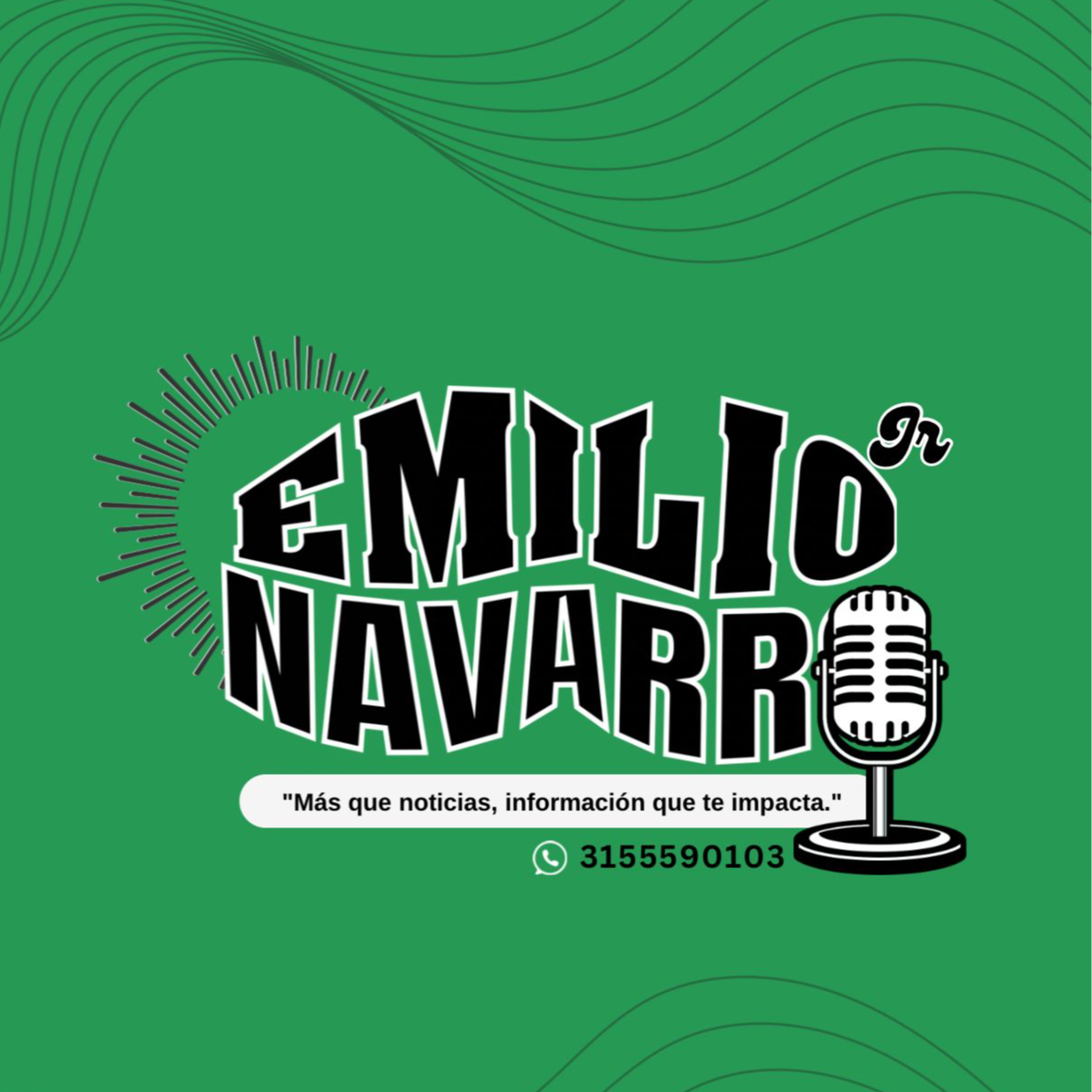 EmilioNavarroOnline